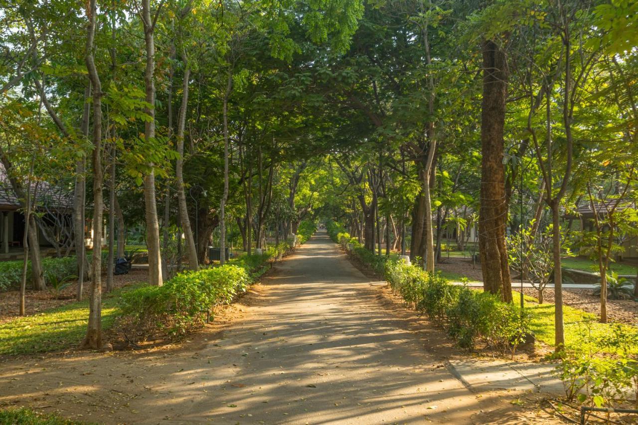 Heritage Мадурай Екстериор снимка A road in the park